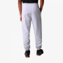 Pantalón Largo Deportivo The North Face NF0A4SVQDYX1 Gris Hombre