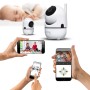 Caméra IP Kiwi