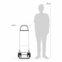 Panier à Courses Rolser saquet ln Vert 43 L Pliable