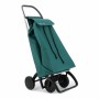 Panier à Courses Rolser saquet ln Vert 43 L Pliable
