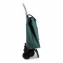Panier à Courses Rolser saquet ln Vert 43 L Pliable