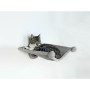 Grattoir pour Chats Trixie Gris 42 × 41 cm