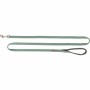 Laisse pour Chien Trixie Premium Vert 1,8 m XS/S