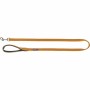 Laisse pour Chien Trixie Premium Curry 1 m L/XL