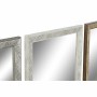 Miroir mural DKD Home Decor Verre Naturel Gris Marron Blanc PS 4 Unités Feuille d'une plante (36 x 2 x 95,5 cm)