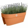 Pot Elho Vibia Campana Flower Bridge 60 Marron 26 x 59 x 22 cm