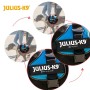 Harnais pour Chien Julius K9 Power Noir 1 Baby 1 (XS)