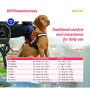 Harnais pour Chien Julius K9 Power Noir 1 Baby 1 (XS)