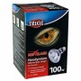 Ampoule infrarouge Trixie
