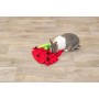 Tapis de jeu Trixie Rouge Polyester 33 × 40 cm