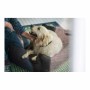 Canapé pour chien Hunter (Reconditionné A)