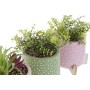 Pot DKD Home Decor Ciment PE (16 x 16 x 21 cm) (4 Unités)