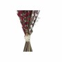 Branche DKD Home Decor Naturel Rouge Fleur séchée (40 x 40 x 150 cm) (2 Unités)