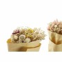 Branche DKD Home Decor Sec Rose Jaune Fleur séchée (8 x 7 x 44 cm) (2 Unités)