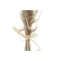 Branche DKD Home Decor Sec Beige Marron Fleur séchée (12 x 3 x 53 cm)