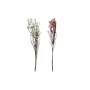 Branche DKD Home Decor Rose Blanc Fleur séchée (11 x 3 x 72 cm) (2 Unités)