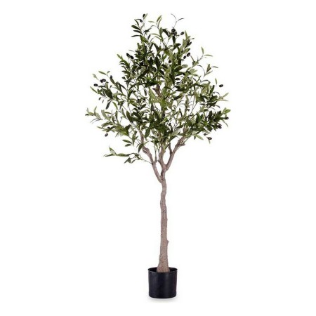 Plante décorative Ibergarden OLIVO Olivier 73 x 120 x 73 cm Plastique (Reconditionné A)