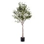 Plante décorative Ibergarden OLIVO Olivier 73 x 120 x 73 cm Plastique (Reconditionné A)