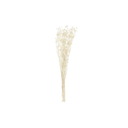 Branche DKD Home Decor Sec Crème Fleur séchée (15 x 15 x 65 cm)