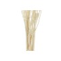 Branche DKD Home Decor Sec Crème Fleur séchée (15 x 15 x 65 cm)