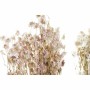 Branche DKD Home Decor Rose Blanc Fleur séchée (16 x 3 x 60 cm) (2 Unités)