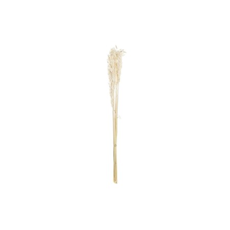 Branche DKD Home Decor Avoine Beige Fleur séchée (8 x 3 x 57 cm)