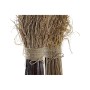 Branche DKD Home Decor Naturel Fibre (27 x 27 x 72 cm) (2 Unités)