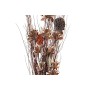 Branche DKD Home Decor Rouge Marron Blanc Fleur séchée (30 x 30 x 100 cm) (2 Unités)