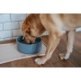 Mangeoire pour chiens Hunter OSBY GLAZED Bleu Céramique 2,5 L