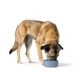 Mangeoire pour chiens Hunter OSBY GLAZED Bleu Céramique 2,5 L