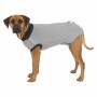 Protecteur corporel pour chiens Trixie Gris L