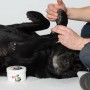 Cire Pawz MAXWAX 200 gr