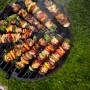 Set de Pinchos para Barbacoa Algon Metal 35 cm 12 Piezas (24 Unidades)