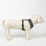 Arnés para Perro Harry Potter M/L Reversible