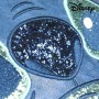 Bolso Bandolera Stitch Disney 72809 Azul 26,5 x 18,0 x 5,0 cm