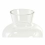 Vase DKD Home Decor Verre Transparent Moderne (17 x 17 x 23 cm)