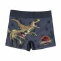 Caleçon pour garçon Jurassic Park Gris foncé