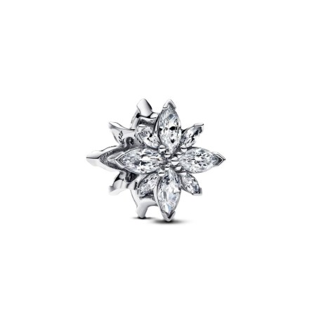 Perle de verre Femme Pandora 793591C01 Argenté