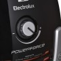 Aspirateur Electrolux EPF63EB-S Noir 700 W