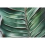 Cadre Home ESPRIT Vert Palmiers Tropical 80 x 3,5 x 120 cm (2 Unités)