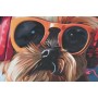 Cadre Home ESPRIT Moderne Chien 50 x 3,5 x 50 cm (2 Unités)