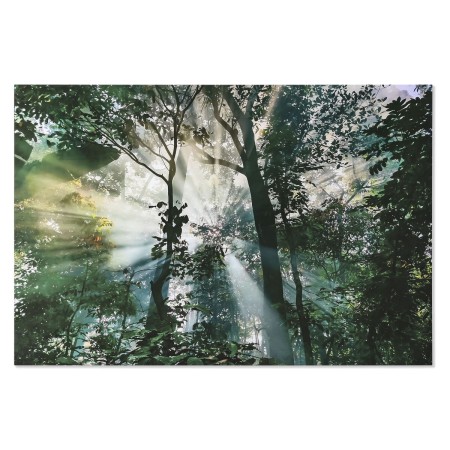 Cadre Home ESPRIT Vert Imprimé 150 x 0,4 x 100 cm