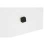 Cuadro Home ESPRIT Rosa Impreso 150 x 0,4 x 100 cm