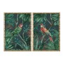 Cadre Home ESPRIT Vert Perroquet Tropical 50 x 2,8 x 70 cm (2 Unités)