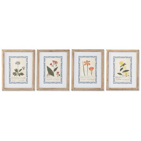 Cadre Home ESPRIT Shabby Chic Plantes botaniques 40 x 2,5 x 50 cm (4 Unités)
