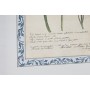 Cadre Home ESPRIT Shabby Chic Plantes botaniques 40 x 2,5 x 50 cm (4 Unités)