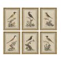 Cadre Home ESPRIT Beige Oiseau Shabby Chic 45 x 3 x 60 cm (6 Unités)