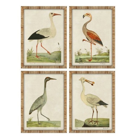 Cadre Home ESPRIT Beige Oiseaux Traditionnel 50 x 2,5 x 40 cm (4 Unités)