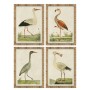 Cuadro Home ESPRIT Beige Pájaros Tradicional 50 x 2,5 x 40 cm (4 Unidades)