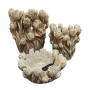 Vase Home ESPRIT Gris Ciment Tulipe 21 x 21 x 23 cm